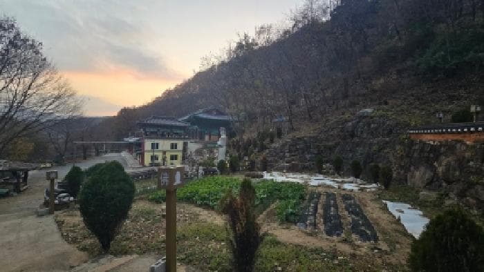경상남도 양산시 원동면 서룡리 1095