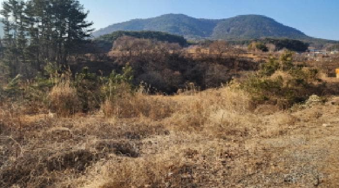 울산광역시 울주군 두서면 전읍리 1130