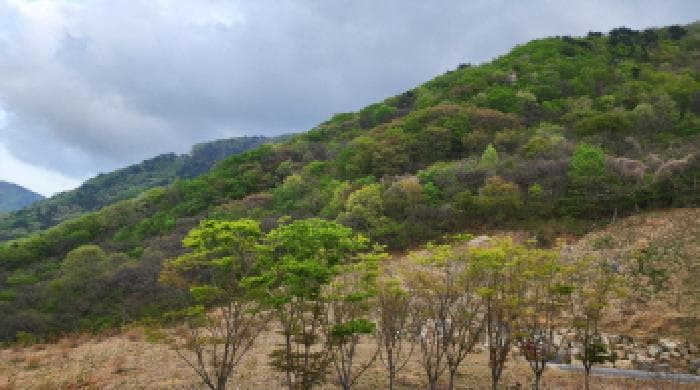 경상남도 양산시 용당동 산67-2