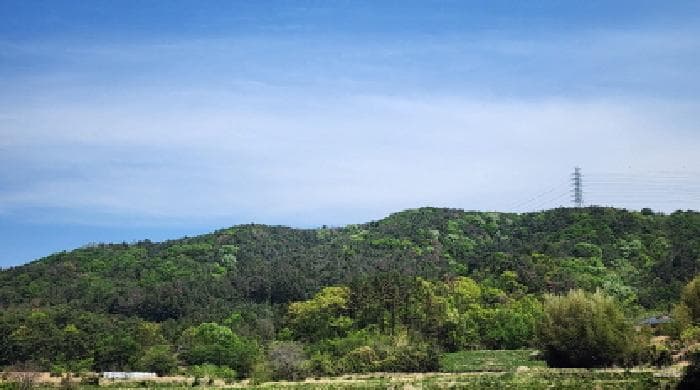 울산광역시 울주군 언양읍 직동리 산75-8