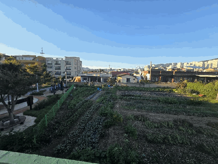 울산광역시 북구 호계동 668-6