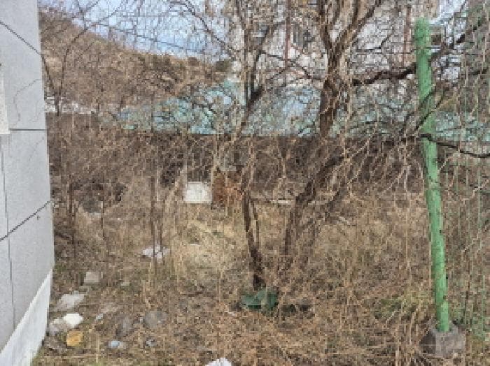 울산광역시 북구 당사동 520-6