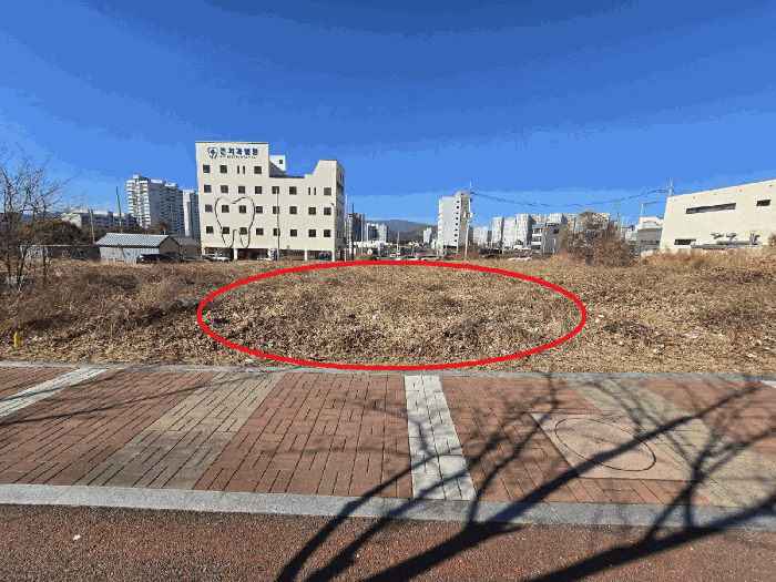 울산광역시 북구 신천동 817-8