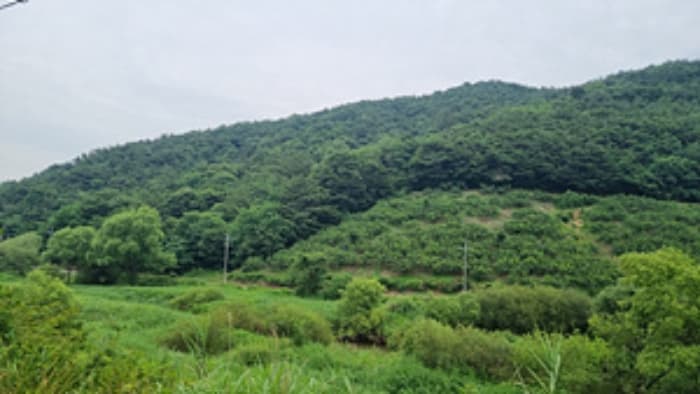 경상남도 창원시 의창구 북면 마산리 산189