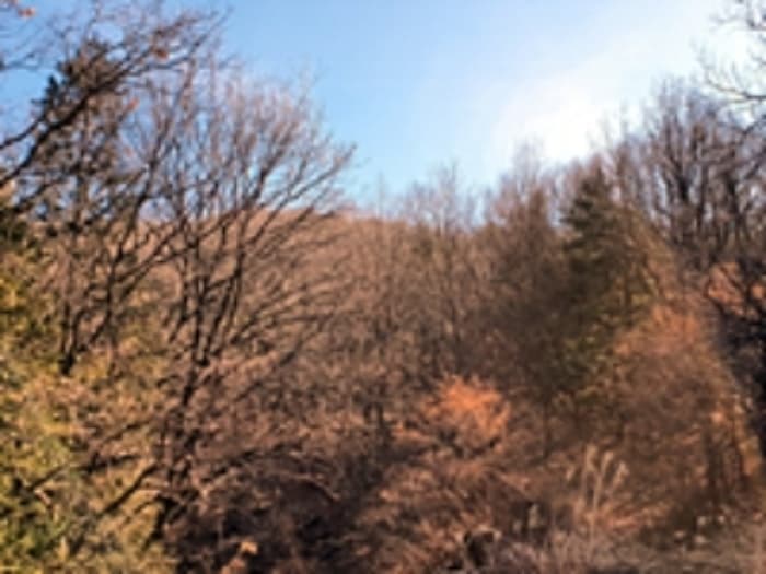 경상남도 창원시 진해구 두동 산281
