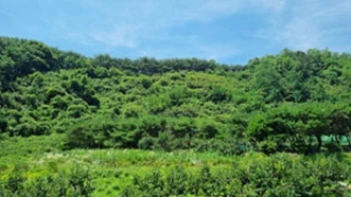 경상남도 창원시 의창구 북면 내곡리 산270