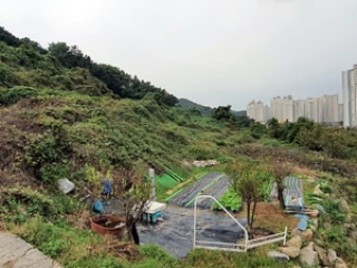 경상남도 창원시 진해구 남문동 421