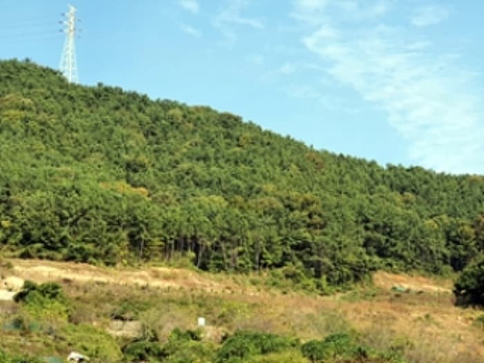 경상남도 창원시 진해구 청안동 산37