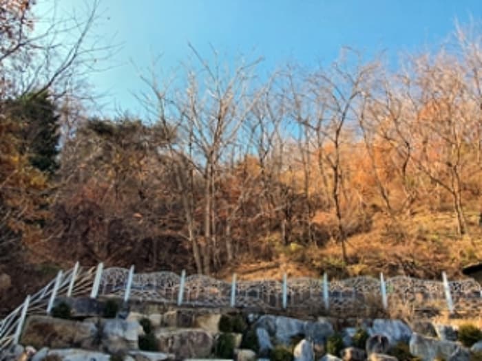경상남도 김해시 인제로 433-37