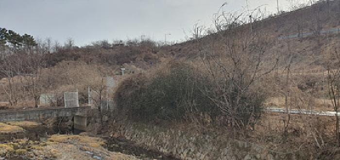 경상남도 김해시 진영읍 설창리 393-1