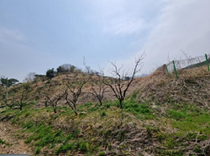 경상남도 창원시 의창구 동읍 금산리 65