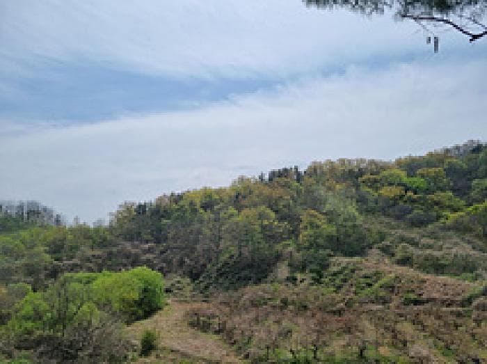 경상남도 창원시 의창구 북면 내곡리 산235-3