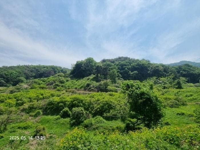 경상남도 창원시 의창구 북면 내곡리 산199-4