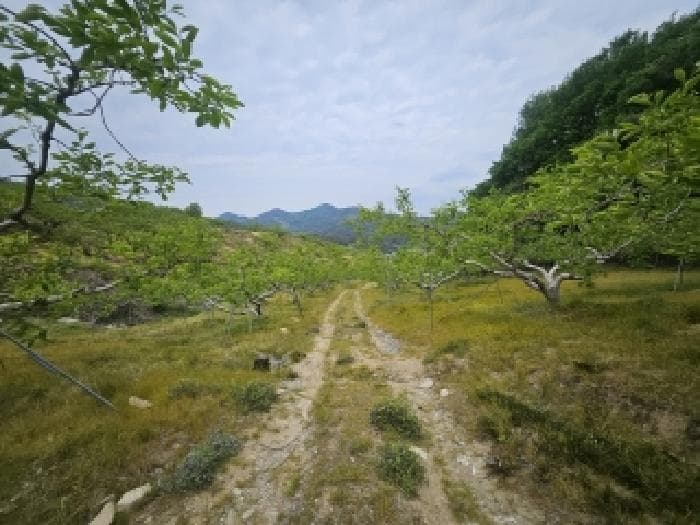경상남도 창원시 의창구 북면 내곡리 808-2