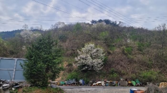 경상남도 함안군 칠원읍 용정리 산42-11