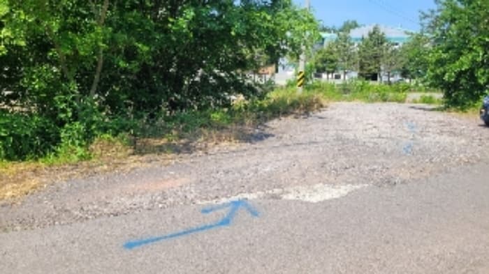경상남도 함안군 법수면 백산리 503