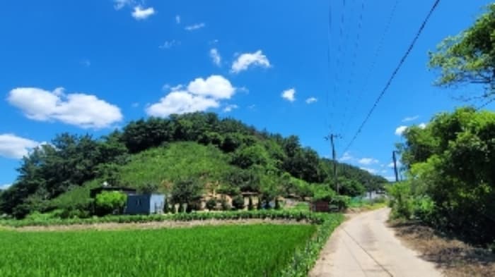 경상남도 함안군 대산면 부목리 592-1