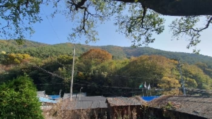 경상남도 창원시 마산합포구 진동면 태봉리 603