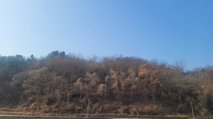 경상남도 함안군 함안면 북촌리 530-1