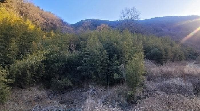 경상남도 함안군 군북면 박곡리 1112