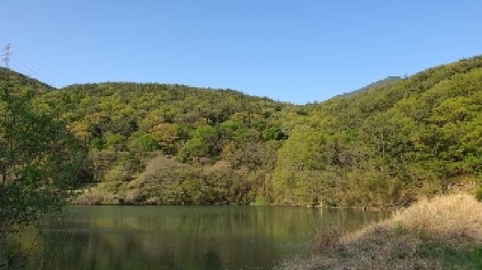 경상남도 창원시 마산합포구 진북면 정현리 산167
