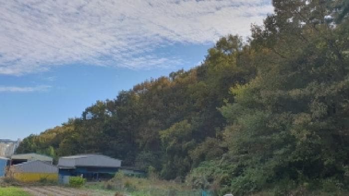 경상남도 창원시 마산합포구 진북면 덕곡리 산109