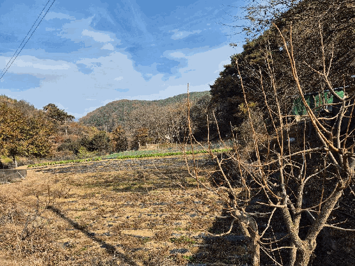 경상남도 함안군 칠원읍 장암리 488