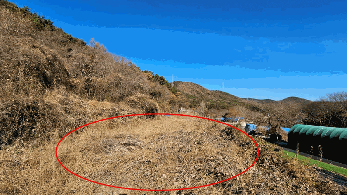 경상남도 창원시 마산합포구 진전면 근곡리 455
