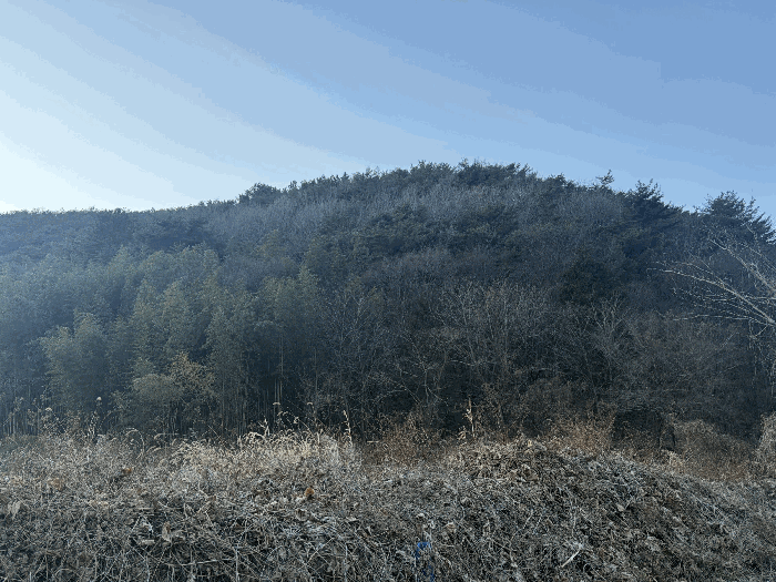 경상남도 창원시 마산합포구 진전면 고사리 산100