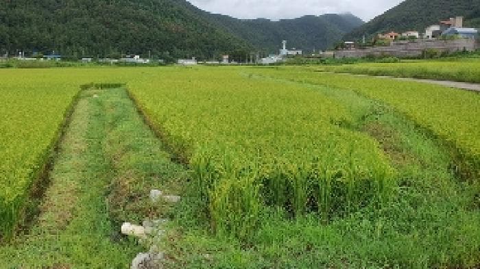 경상남도 창원시 마산합포구 진동면 교동리 427-2