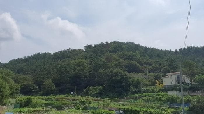 경상남도 창원시 마산합포구 구산면 내포리 1026