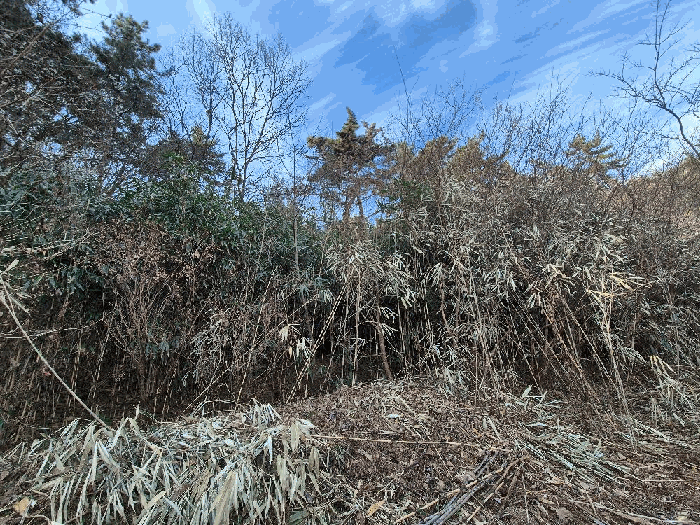 경상남도 창원시 마산합포구 진동면 다구리 168