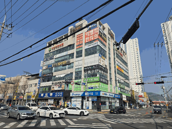 경상남도 창원시 마산합포구 산호동 307-6 신한플러스  1층101호