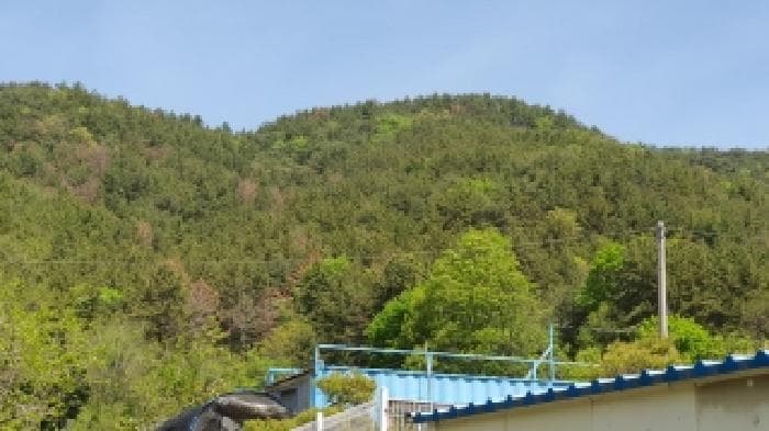 경상남도 창원시 마산합포구 구산면 마전리 산46-1