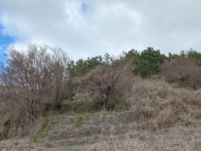 경상남도 남해군 남면 선구리 464-2