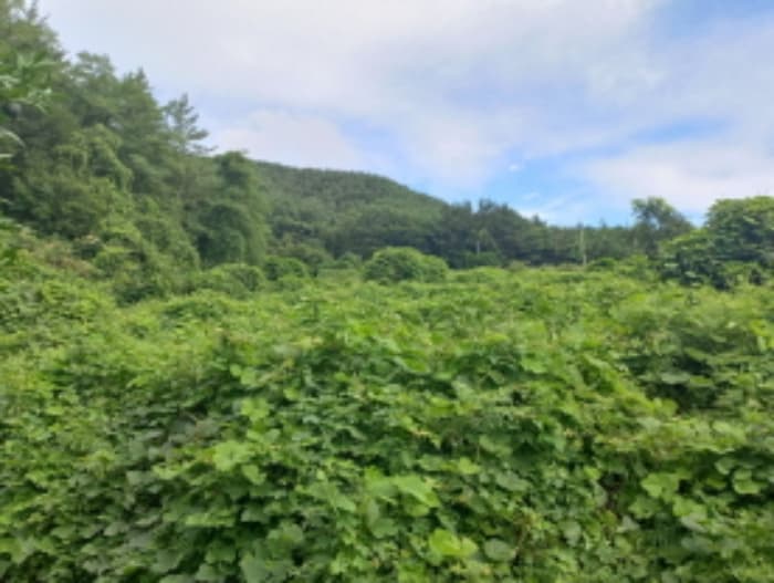 경상남도 남해군 창선면 서부로996번길 17-24