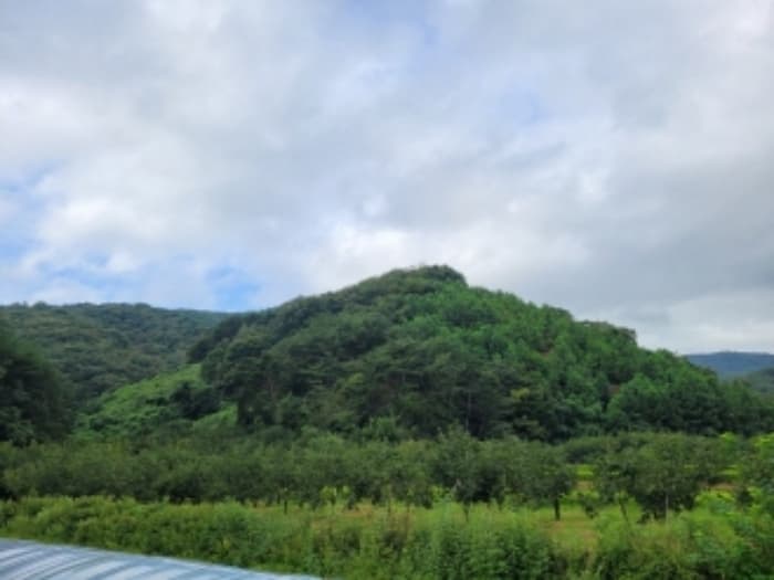 경상남도 진주시 미천면 효자리 산219