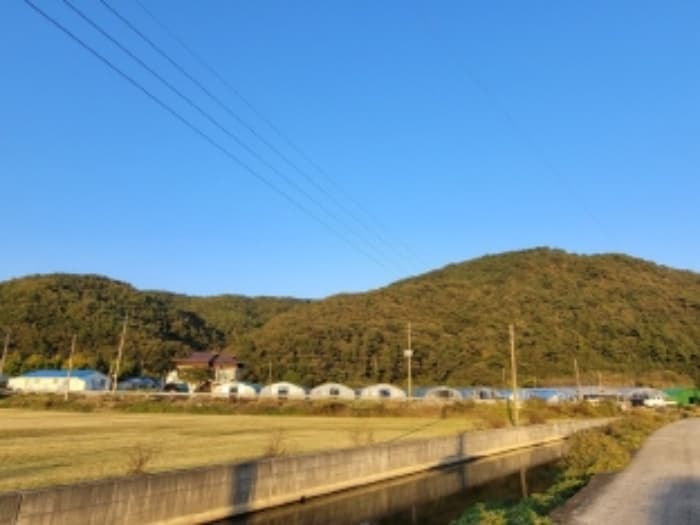 경상남도 진주시 수곡면 창촌리 산10