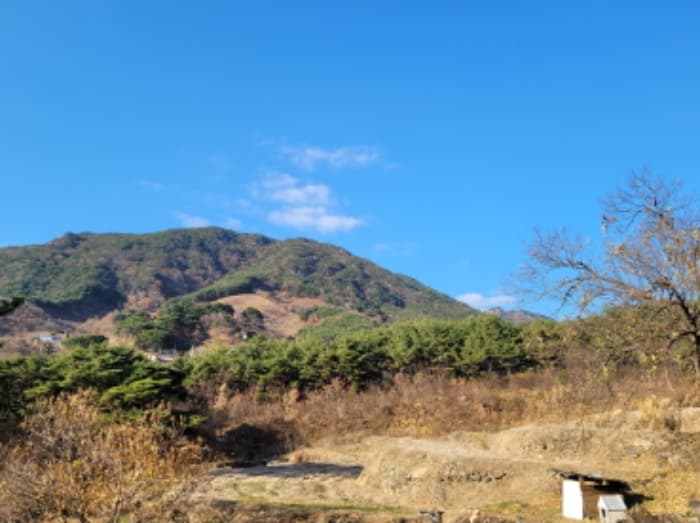 경상남도 산청군 신안면 외송리 산71-7