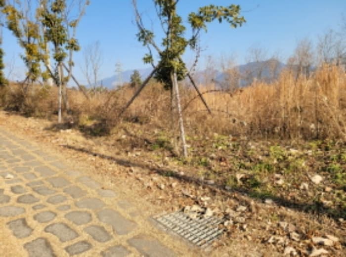 경상남도 하동군 금남면 대도리 2