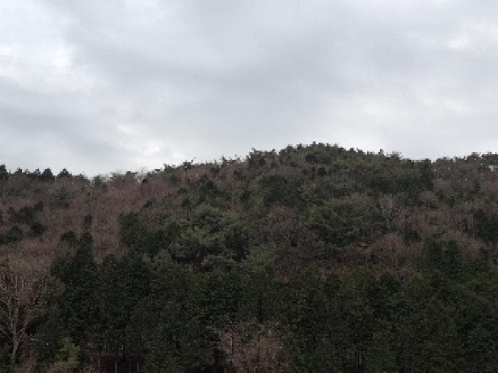 경상남도 남해군 미조면 송정리 산92-4