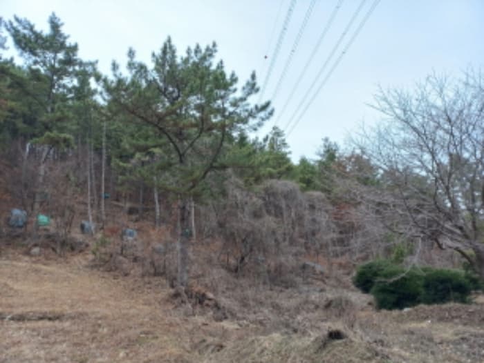 경상남도 사천시 죽림동 산36-1