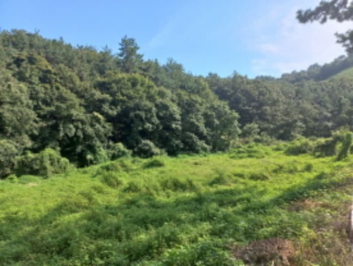 경상남도 남해군 창선면 가인리 산248-7