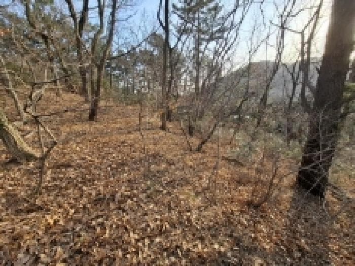 경상남도 남해군 미조면 미조리 107