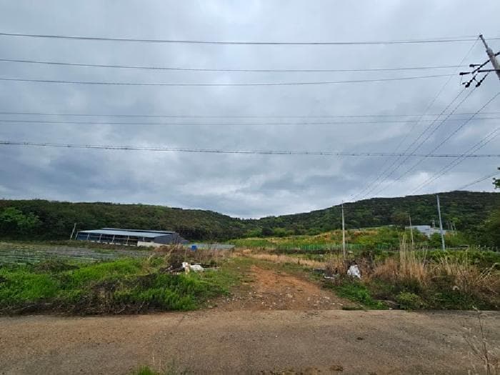 경상남도 하동군 양보면 통정리 15