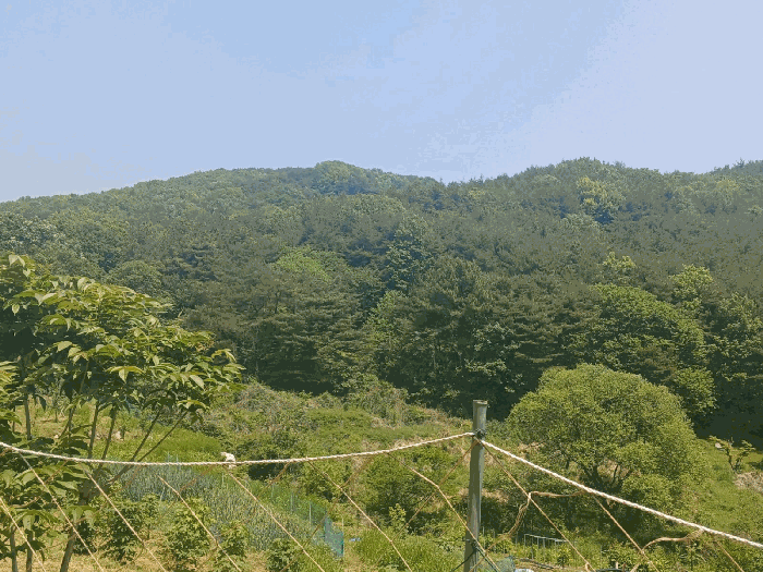 경상남도 산청군 신안면 안봉리 518-1