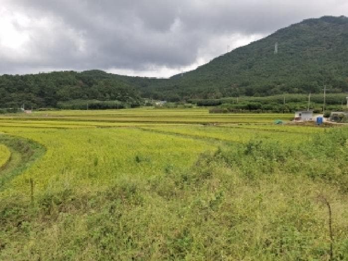 경상남도 사천시 동림동 343-19