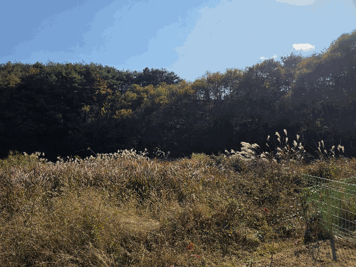 경상남도 산청군 신등면 양전리 350