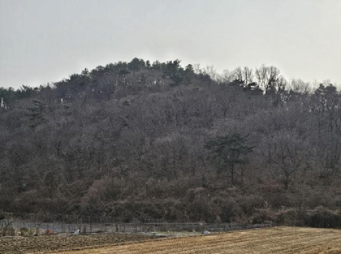 경상남도 하동군 고전면 명교리 206-2