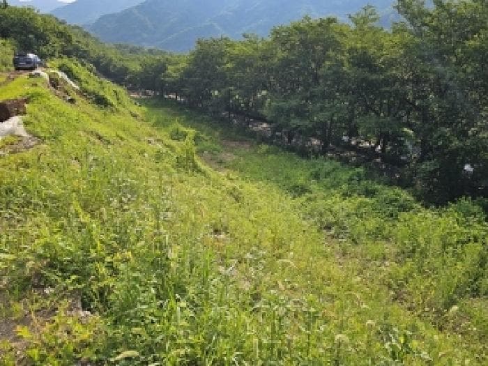 경상남도 하동군 화개면 정금리 984-1 주1